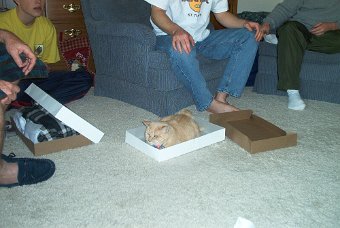 Xmas 2002 004.jpg